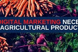 Why is Digital Marketing Necessary for Agricultural Products?