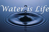 What makes water essential for life?