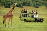 Safari Trips in Burundi: An Undiscovered Gem for Wildlife Enthusiasts