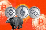 10 CRYPTOCURRENCIES THAT MIGHT NOT SUSTAIN THE MASSIVE BEAR MARKET