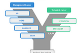 PM Career at Passei Direto