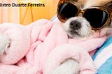 Saúde e Bem-Estar Pet com Mara Regina Calixtro Duarte Ferreira