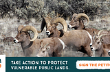 Fix the Plans to Protect Public Lands