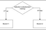 The Essentials of Branching in Python