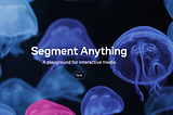 Segment Anyting 3