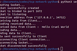 TCP Client-Server Network using Socket Programming Python