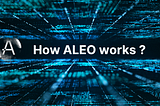 Basics of Aleo work