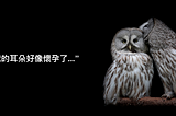 #觀點【文字、圖片、影片…啊，聲音！聲音為什麼是最深入人心的行銷利器？】Caii咔喉咿智能語音
