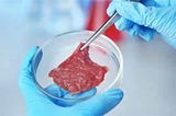 Why We Need In-Vitro Meat