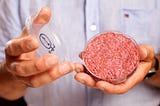 The Brain and Cultured Meat — Consumer Adoption and Scientific Implications