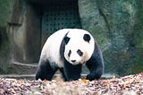 Pandas tricks for Data Scientists