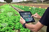 Internet-of-Things (IoT)-Based Smart Agriculture