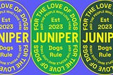 Coming soon: My new company, Juniper