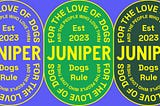 Coming soon: My new company, Juniper