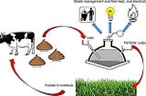 3 Bioenergy sources that farmers should seriously consider using in 2025 to boost sustainability…