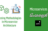Testing Methodologies in Microservice Architecture | සිංහලෙන්