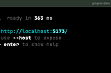 Console output of a running vite project