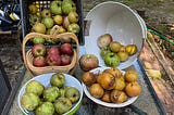 It’s Time to Bake Scrumptious Apple & Pear Pies