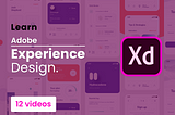 học adobe xd online