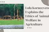 Lola Korneevets Explains the Ethics of Animal Welfare in Agriculture