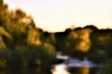 Down Grays Creek