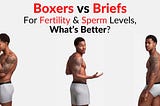 Boxers vs Briefs: Do they affect your Sperm Count as a Male