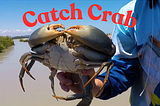 How to Catch Crab: A Comprehensive Guide for Beginners