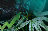Don’t Wait for US Legalization, Here Are 4 Cannabis Stocks to Consider Right Now