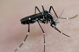 As Zika virus is linked to brain disorder, push for intervention intensifies