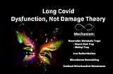 Long Covid: Dysfunction, Not Damage — Theory and Treatment Concepts