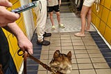 Picture of Nefnef and my son in the metro during a missile attack. Nefnef fancies the baby’s toy…