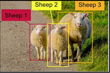 Computer Vision — Object Detection Task