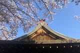 Cherry blossoms hanging over the roof of a shrine, blue sky in the background.