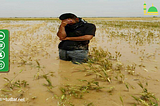 طهران ترفض تعويض المزارعين الأحوازيين المتضررين من الفيضانات