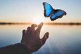 Man reaching out as a blue butterfly flies away