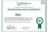 How I passed Scrum.org’s Professional Agile Leadership I Certification