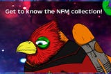 The ‘Non-Fungible Moonbirds’ collection!