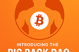 Introducing the Big Back DAO — Decentralized Power to the People