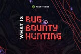 What is Bug Bounty Hunting?