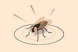 Illustration: A fly