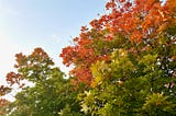 September Days When Summer and Fall Collide