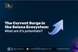 THE CURRENT SURGE IN THE SOLANA ECOSYSTEM: WHAT ARE IT’S POTENTIALS?