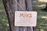 Suurüritused liiguvad sammhaaval keskkonnasäästlike lahenduste suunas