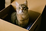 Schrödinger’s Cat