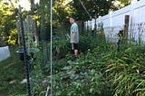 An Update on the Garden