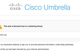 OpenDNS just kneecapped a tiny, self-funded startup.