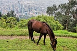 Bogota: My first 48 hours in Colombia