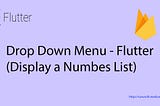Drop down menu - Flutter