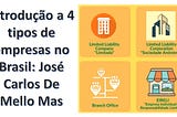 Jose Carlos De Mello Mas — Introdução a 4 tipos de empresas no Brasil