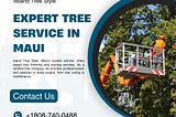 Tree Service in Maui